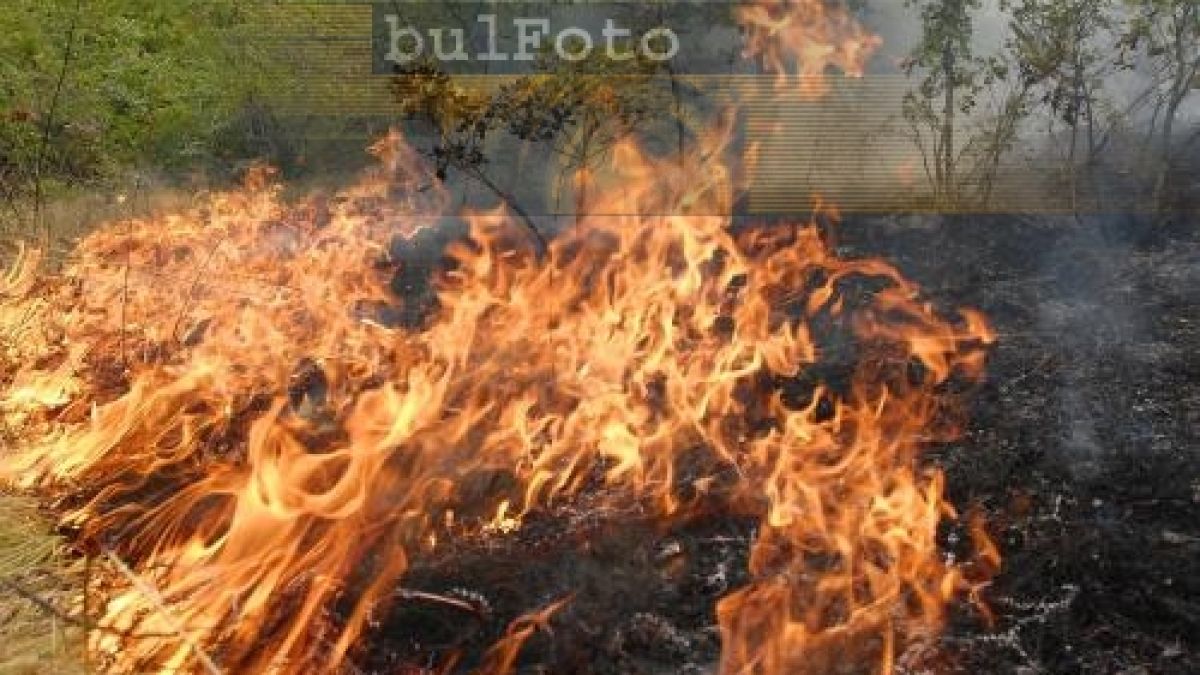 Локализираха пожарите в селата около Симеоновград