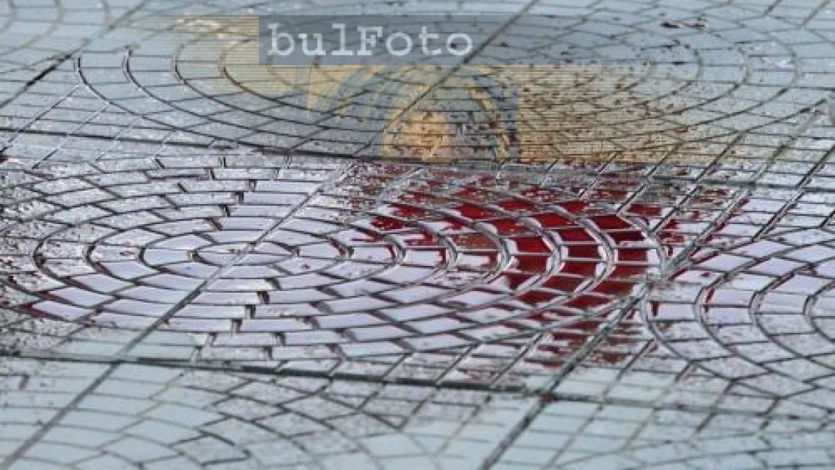 Крадец намушка смъртоносно жена  заради чанта