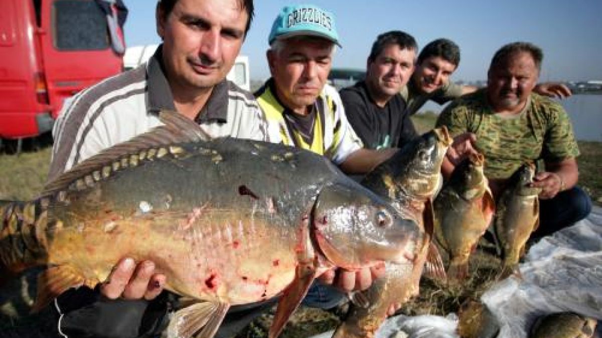 Шаран чукна 67 кила в Шуменско