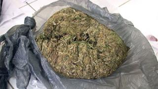 Закопчаха дилър на марихуана