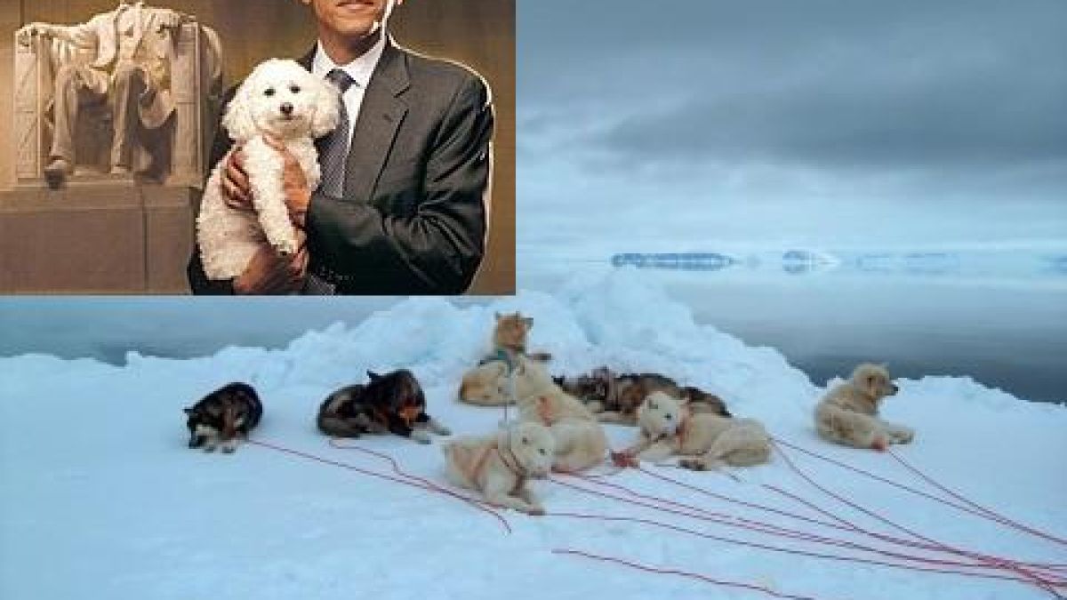 Време е да изядем кучето? 