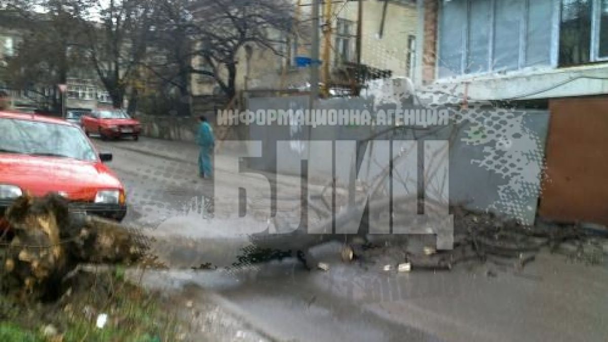 Дърво се стовари върху русенец, жив е