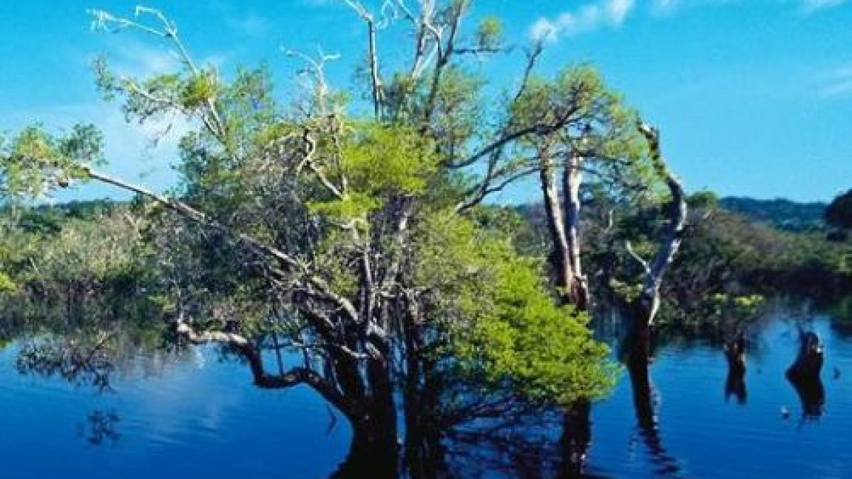 Пътнически кораб потъна в приток на Амазонка, 7 се удавиха