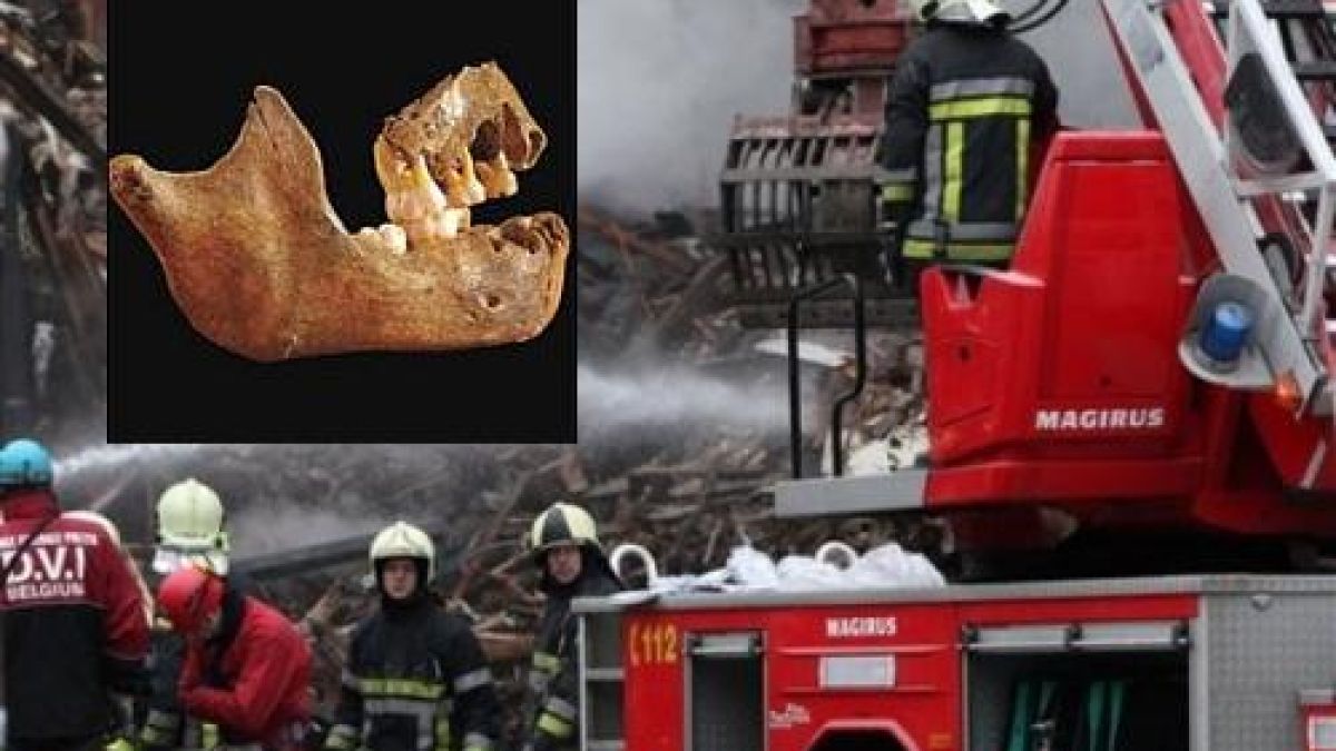 ДНК проби ще доказват има ли български жертви в Лиеж 