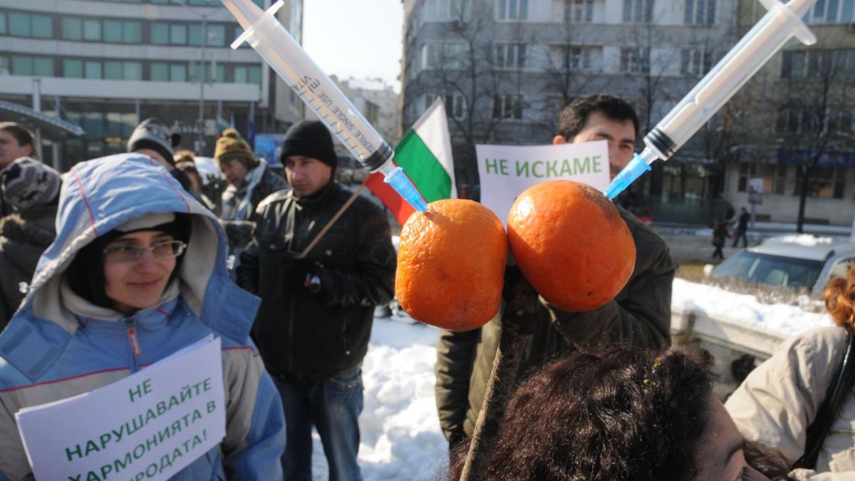 Екоактивисти: МОСВ манипулира хората за ГМО