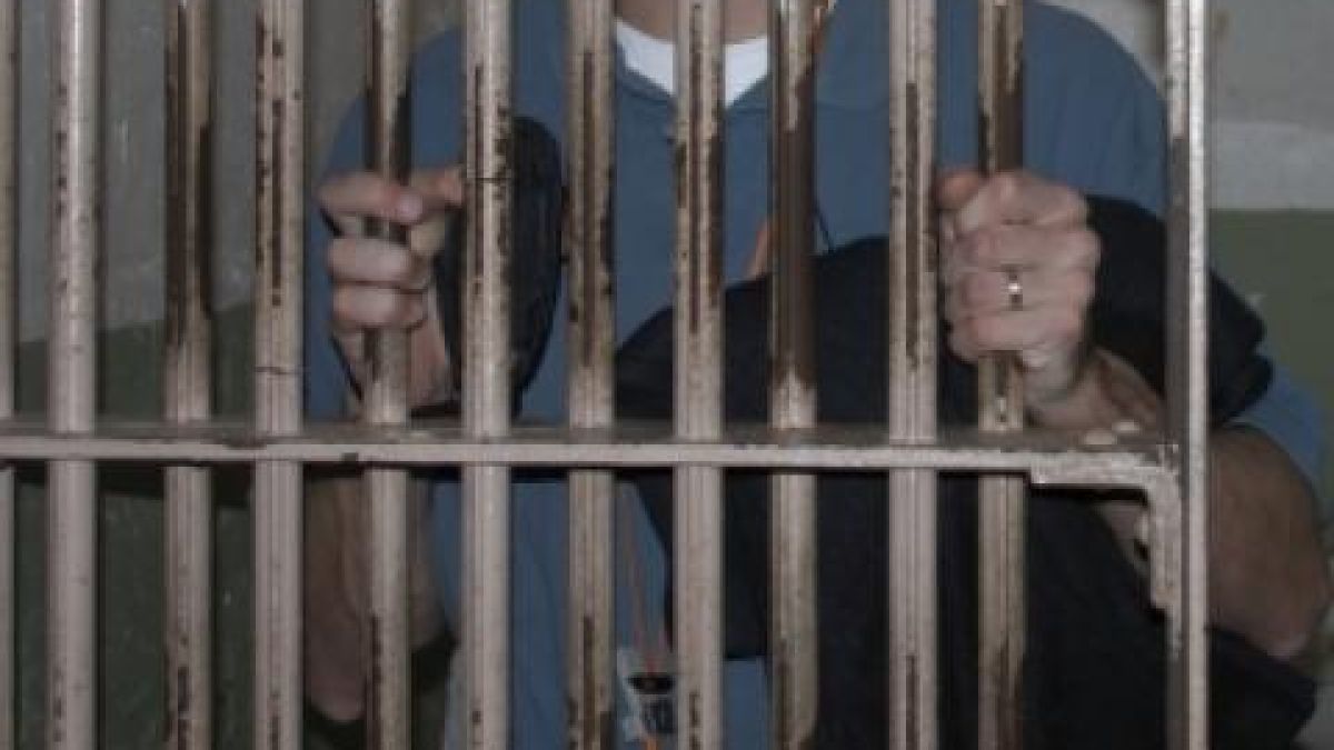 Чеченецът Яхия и аверите му остават в ареста