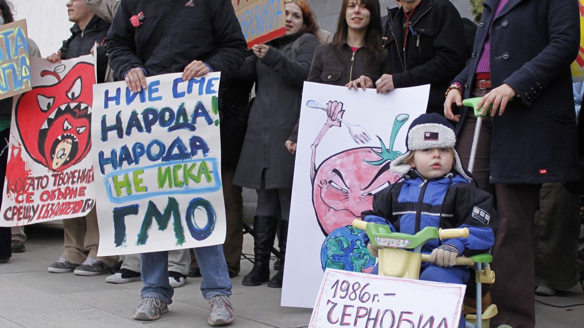 Депутатите забраниха ГМО