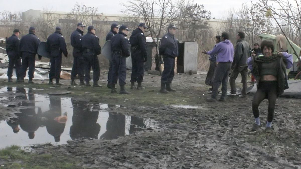 Тумба цигани нападнаха полицаи с колове и брадви