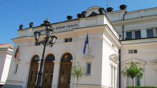 3 депутатски деца са експерти в парламента