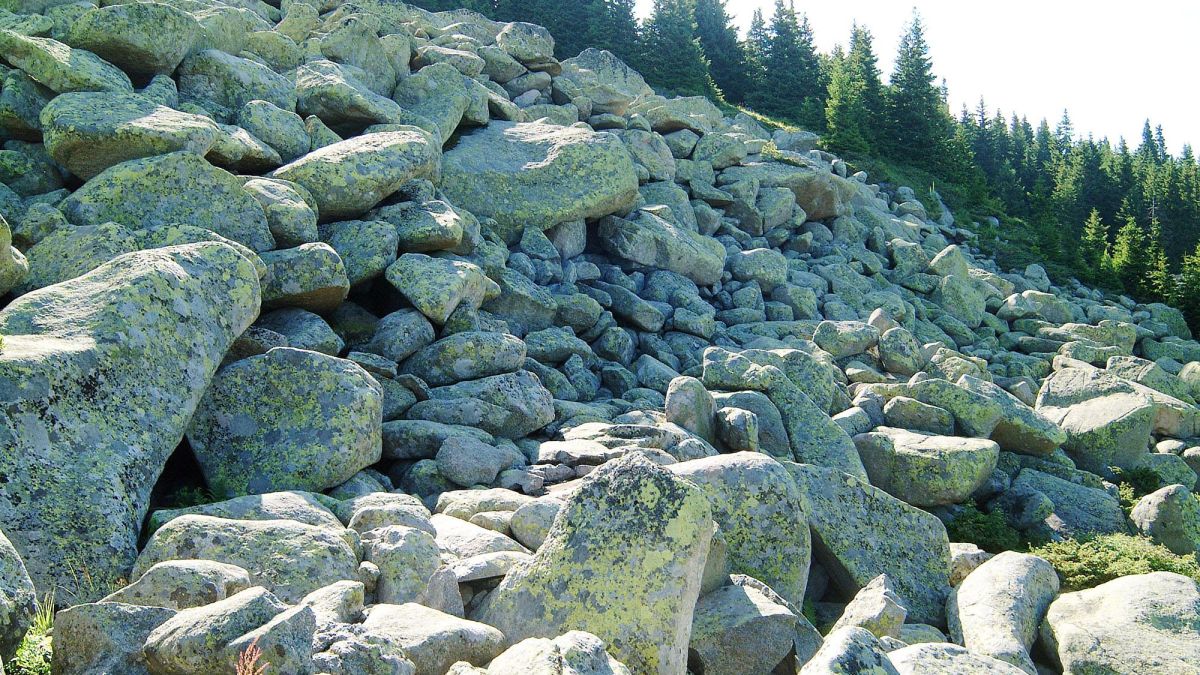 Върховният съд разреши застрояването на Витоша
