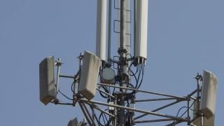 Проучиха въздействието на 5G върху здравето на хората