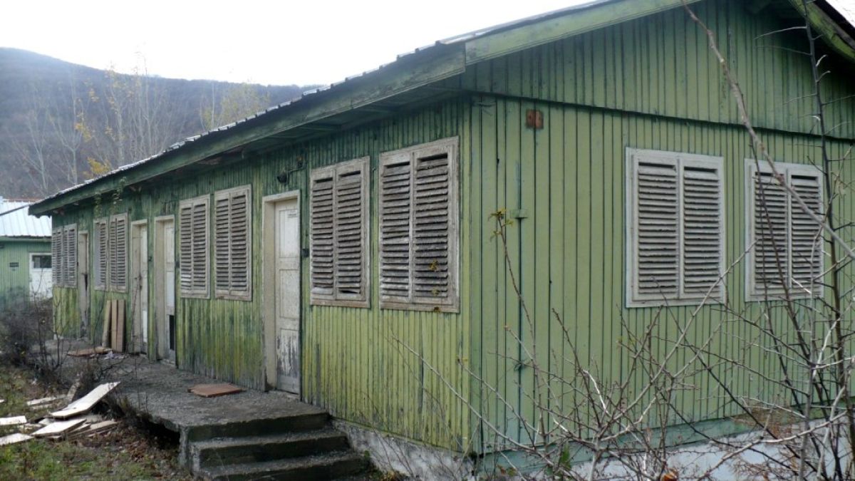Децата, спасени от кравеферма - с краста, кърлежи и анемия