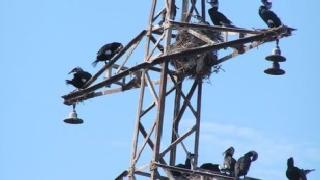 Електрически стълб падна върху къща в Русе 