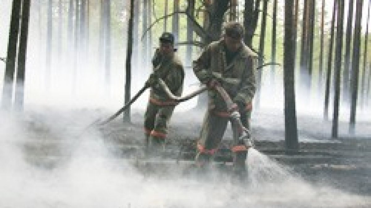 В Русия горят над 270 хиляди декара гори