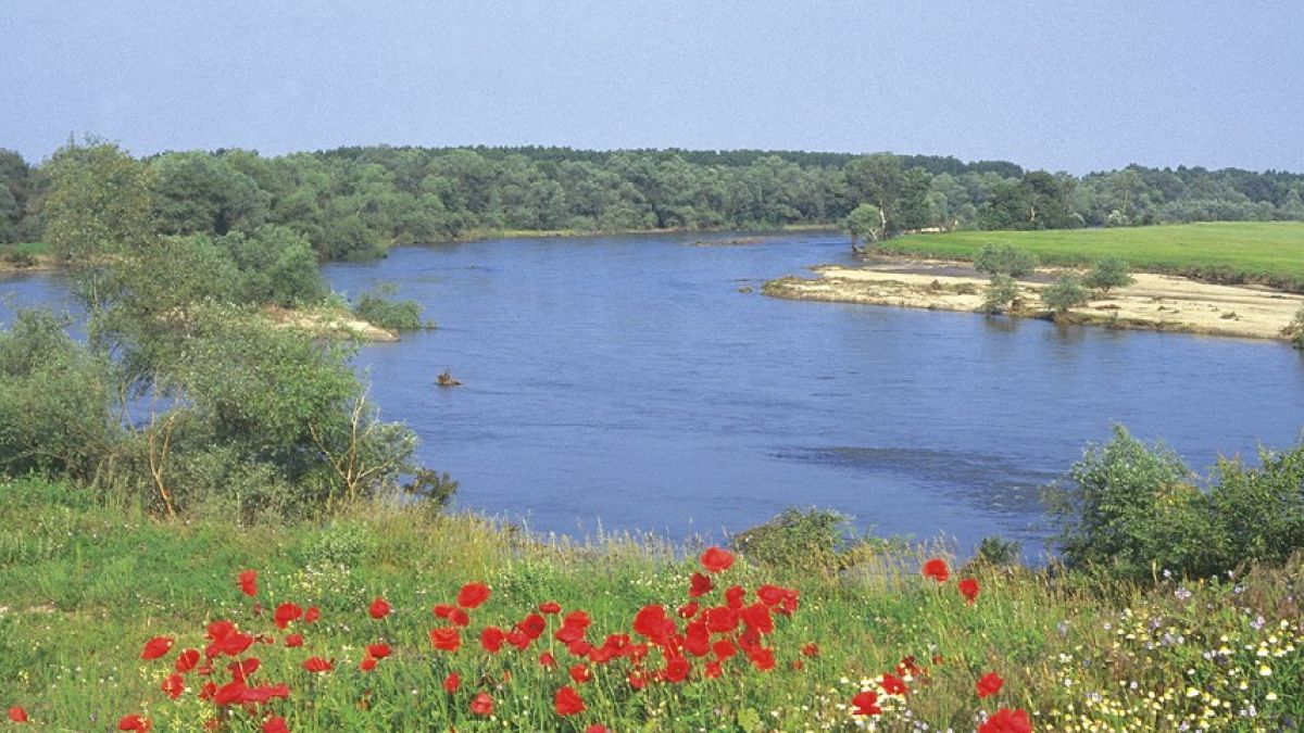 Двегодишно детенце се удави в Марица