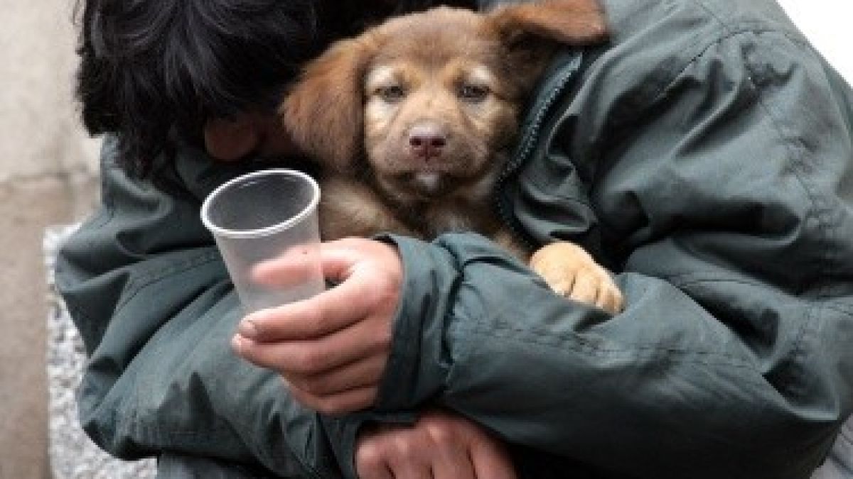 Бездомник наследи огромна сума пари