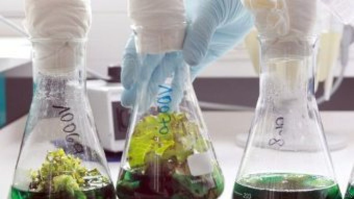 Откриха опасната бактерия E.coli и в Чехия