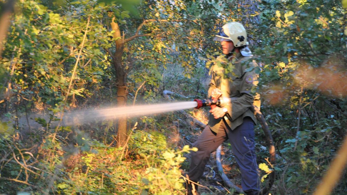 Огнеборци гасят пожар цяла нощ, изгоряха 200 дка