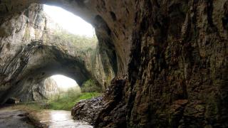 Голямо откритие пренаписа историята: Най-старото изкуство в света не е дело на Homo Sapiens