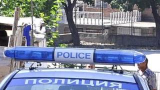 Пипнаха Синдбад и Жабата в Перник
