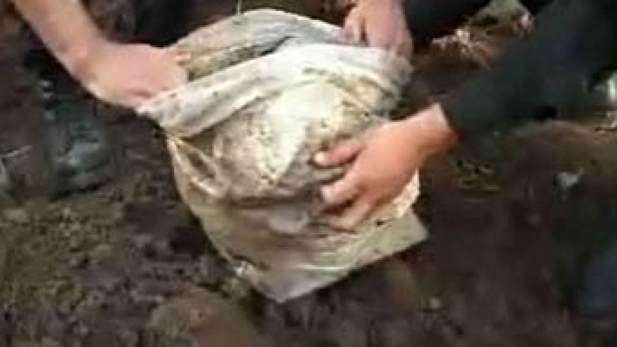 Саакашвили ще купува компютри за учениците с пари от наркотърговци