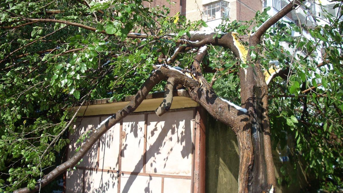 Две деца открити мъртви в гараж в София