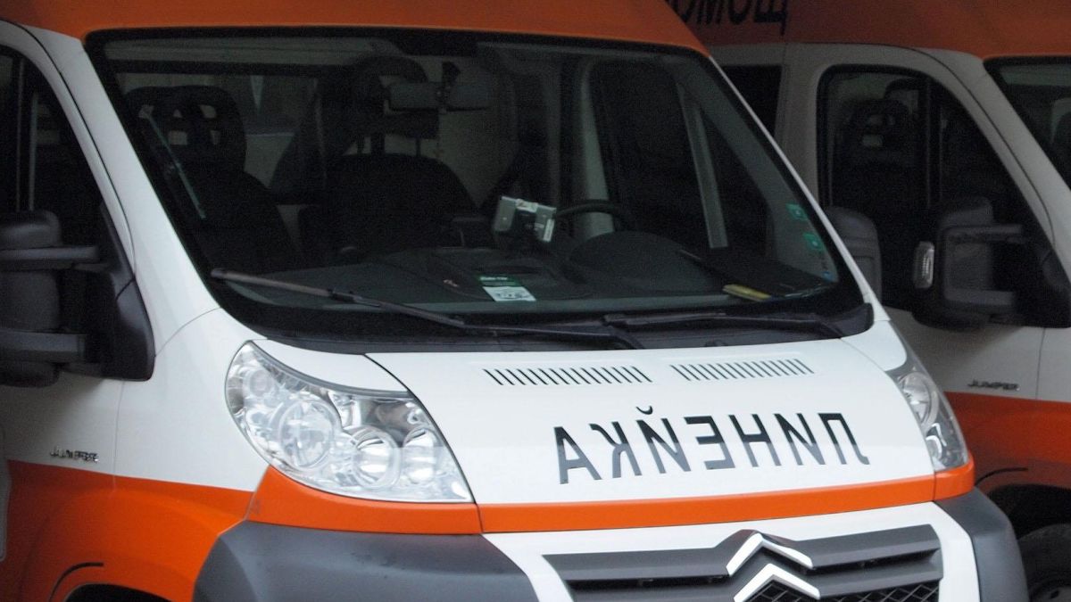 Дърво разби главата на секач 