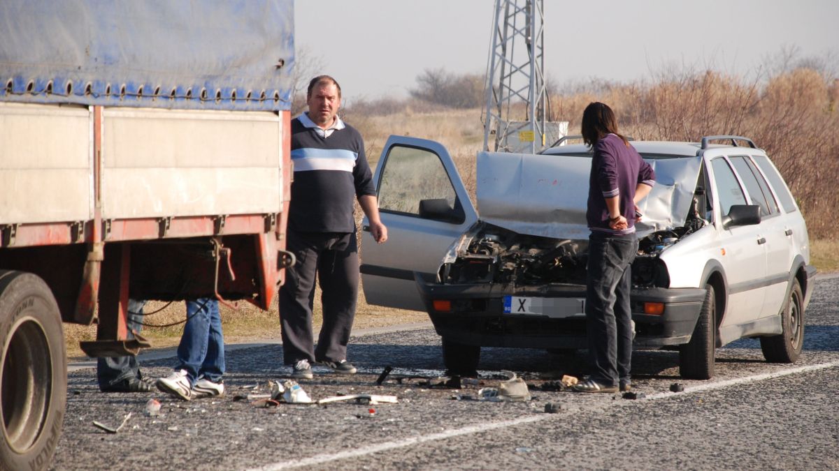 Бездомно псе причини катастрофа