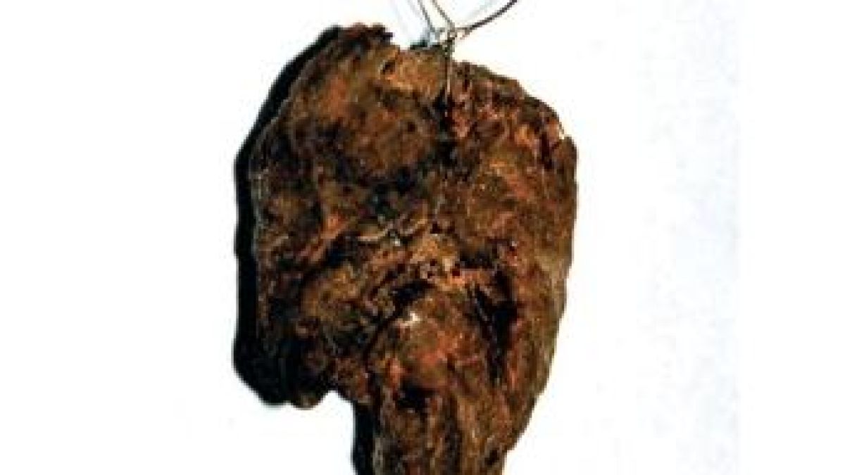 Учени поставиха диагноза на италианска светица от XIII век