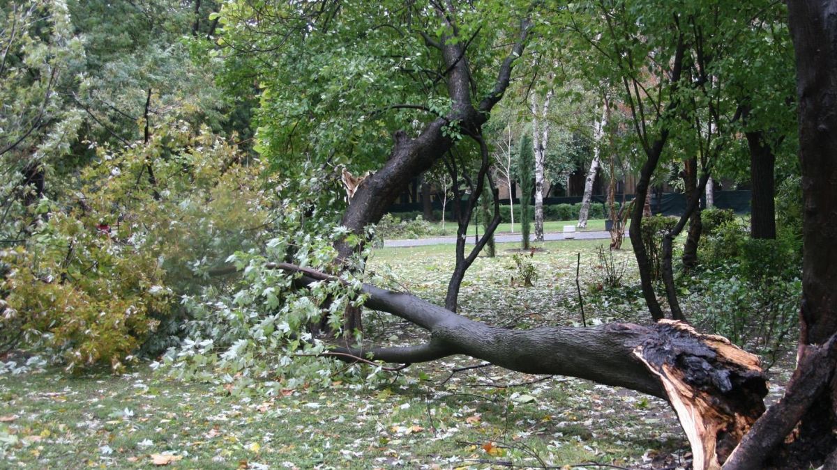 Мощен вятър шета из страната, жълт код в 16 области