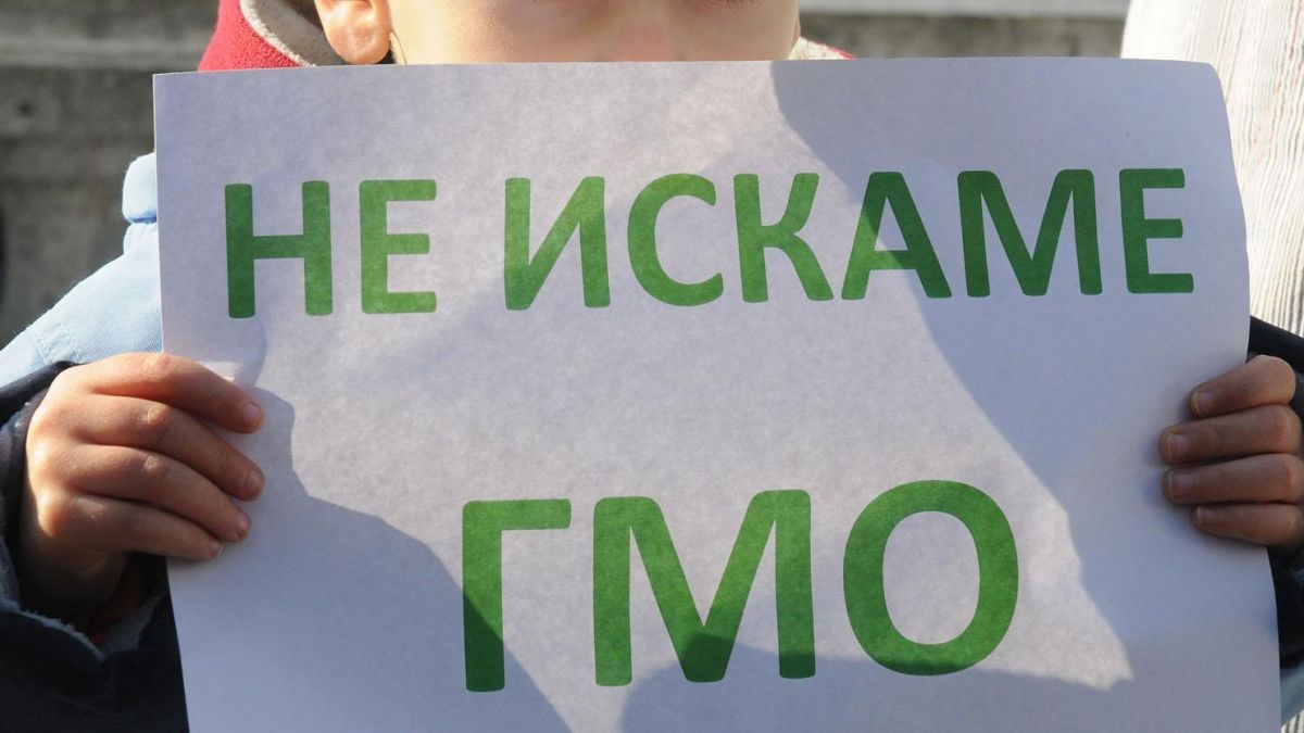 В България се продават ГМО фуражи без специални етикeти