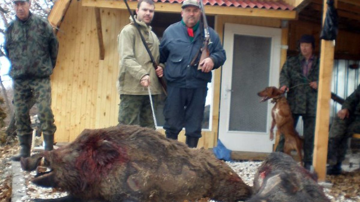 Хасковски ловци гръмнаха глиган - мутант