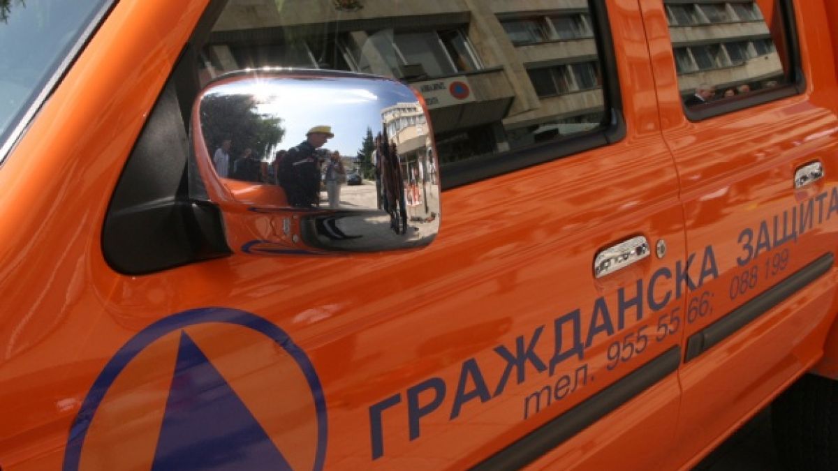Чувал с кучешка отрова изправи на нокти Пазарджик