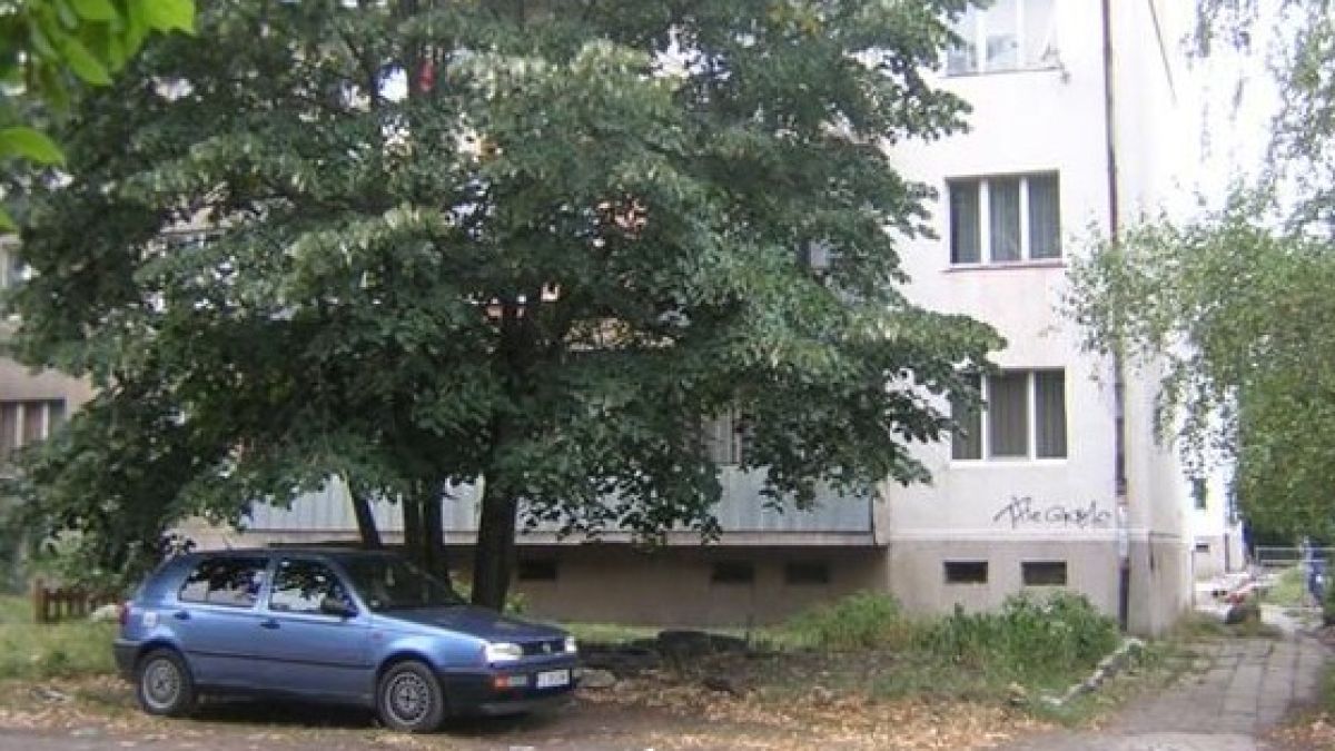 500 лв. глоба за кола в тревата пред блока