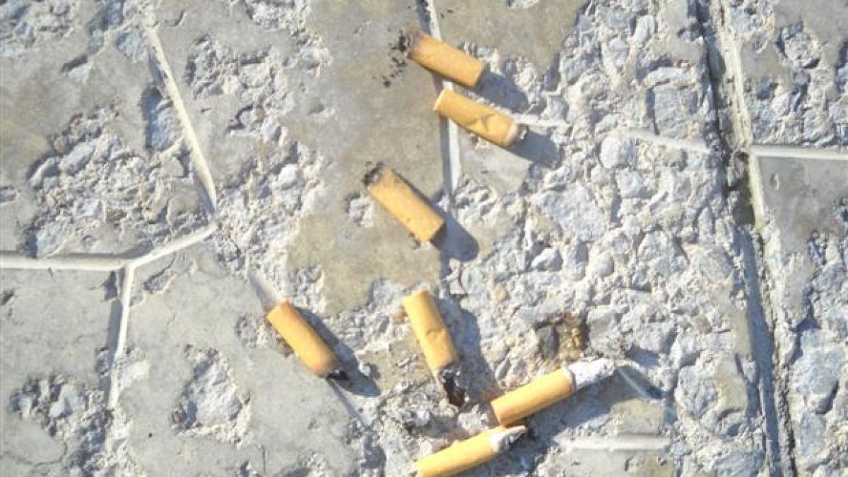35 евро глоба за хвърлен фас в Париж 