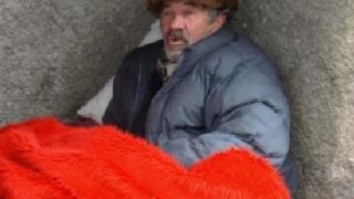 Приютите са препълнени с бездомници