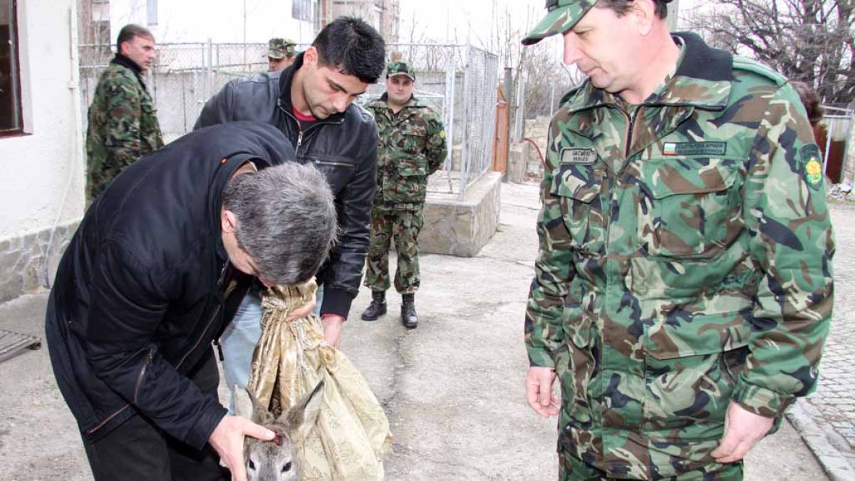 Спасиха нахапан от кучета сръндак