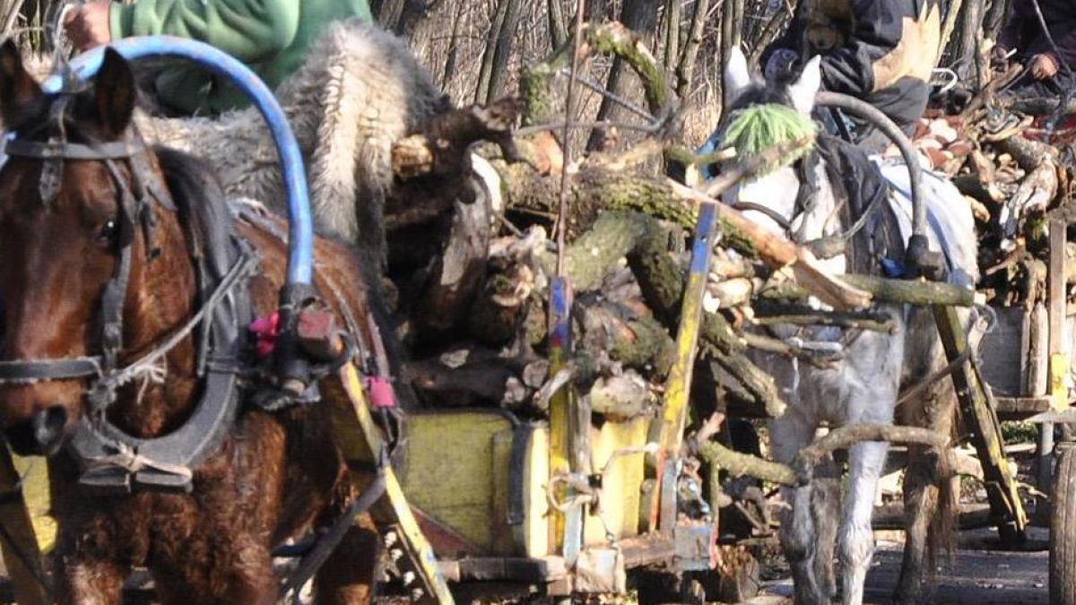 Ромските помощи били заблуда