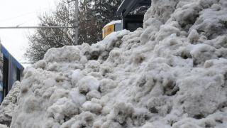Паника и в Русенско
