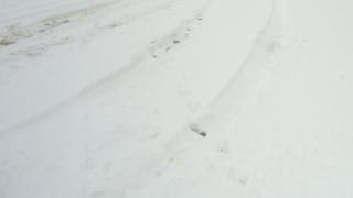 Студ и вятър, но без валежи на сняг 