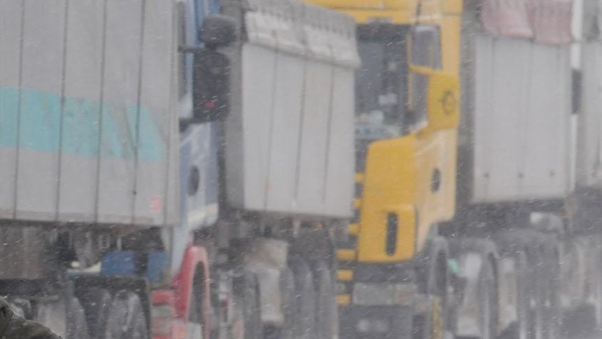Земеделският министър: Няма да има криза за хляб в София