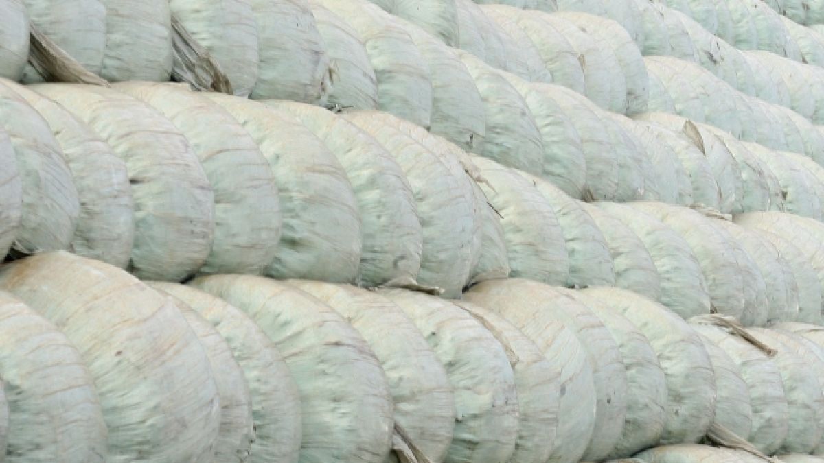 Фандъкова праща 50 000 тона боклук в Ловеч
