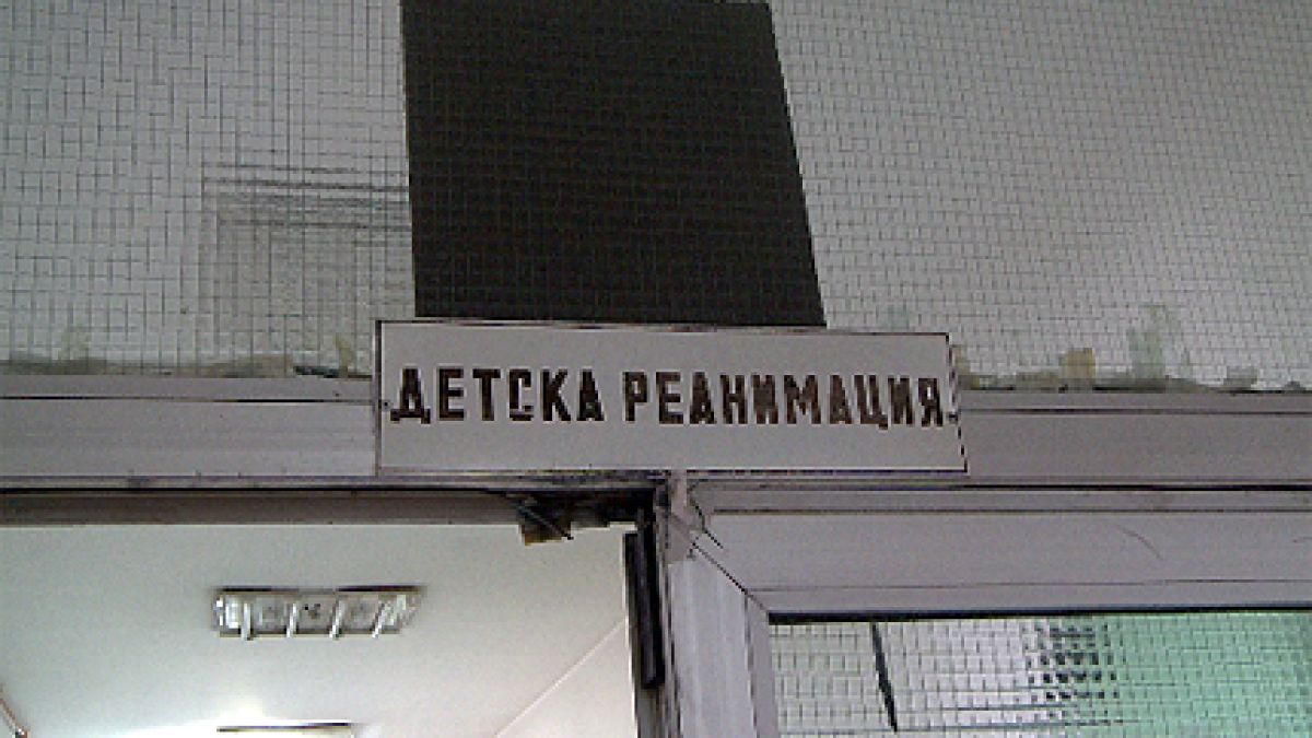 Оперираха нахапания Коста, лекуват го