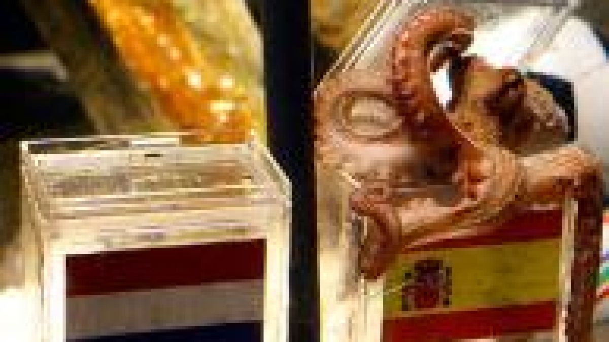 Испанци искат да купят октопода Паул за 30 хиляди евро