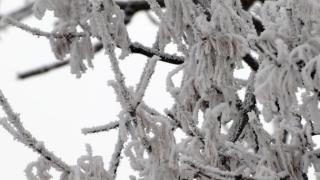 Първоаприлски сняг в София