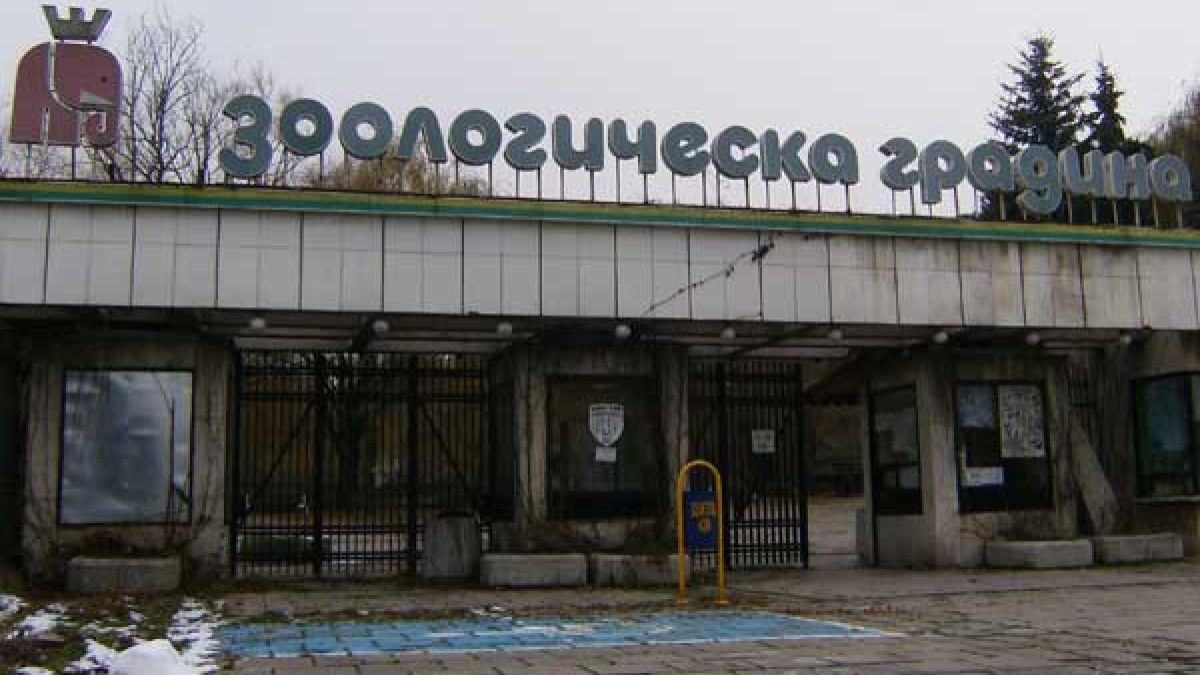 Вдигат цената на билетите за зоопарка 