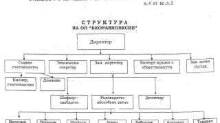 По-лесно ще влезеш при папата, отколкото при  столичната зам.-кметица Мария Бояджийска!