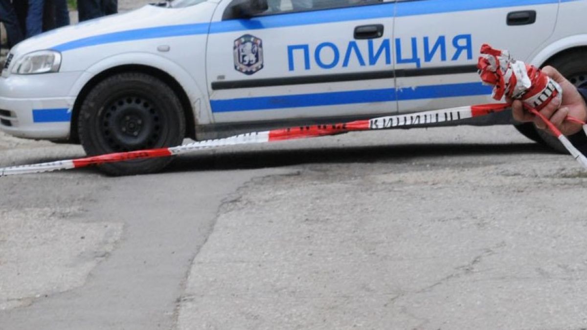 Брат смаза от бой психично болната си сестра