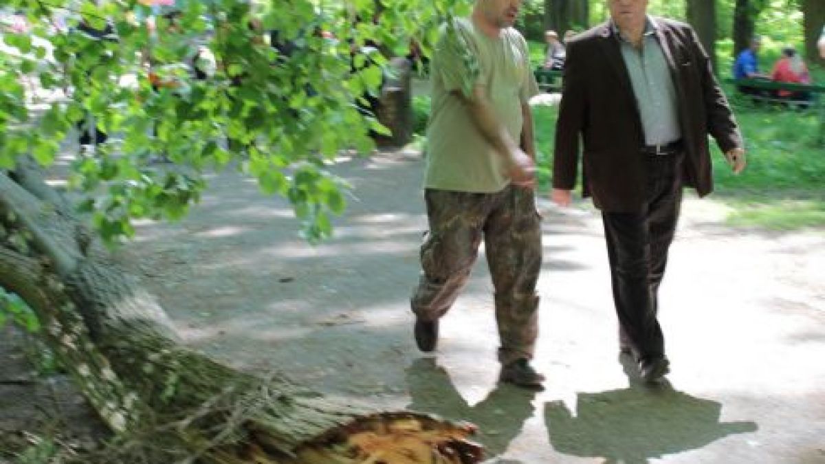 Двегодишното дете убито заради ветрове?