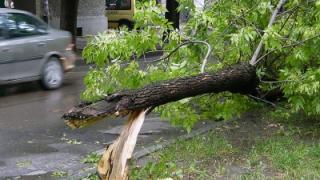 МВР алармира за страшна опасност по пътищата в Северна България